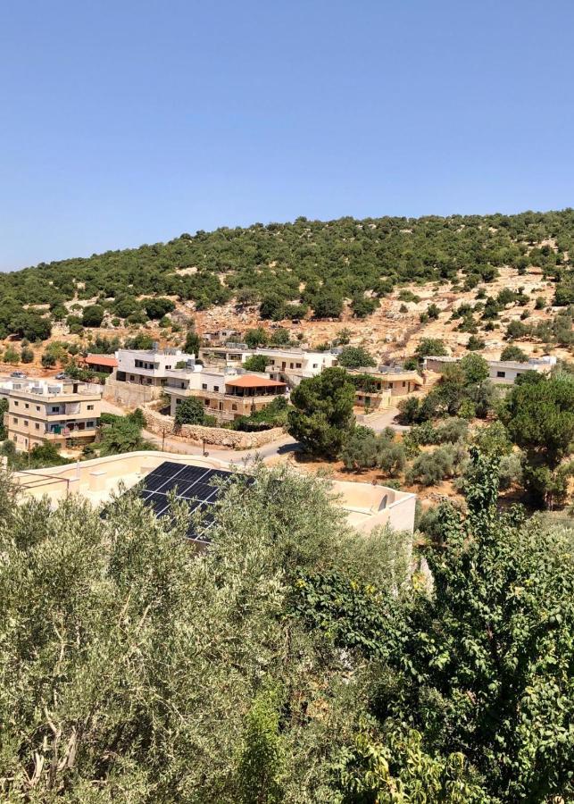 Mhna Guest House ‘Ajlūn Екстериор снимка