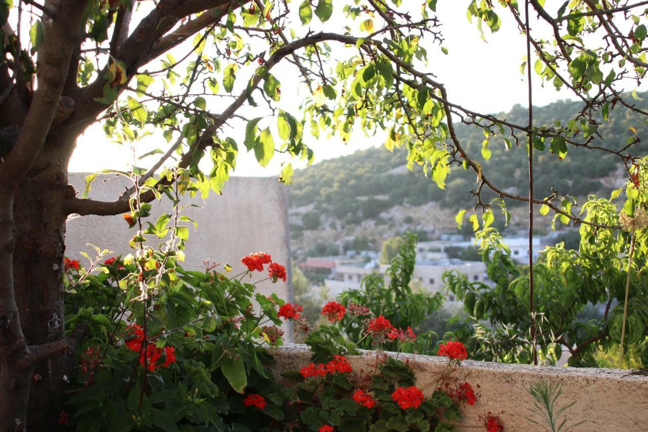 Mhna Guest House ‘Ajlūn Екстериор снимка